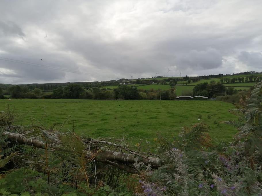 Caman Inn Kilkenny Eksteriør bilde